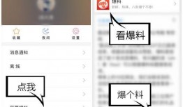 爆料 视频 入口网页版,网页版入口背后的秘密