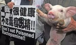 猪哼爆料老林视频大全,揭秘老林视频大全背后的精彩故事